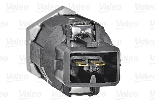 Renault Megane 2001-2012 Arası 1.5 dCi, 1.6 16V, 2.0 TCe Valeo Marka Vuruntu Sensörü - Görsel 3