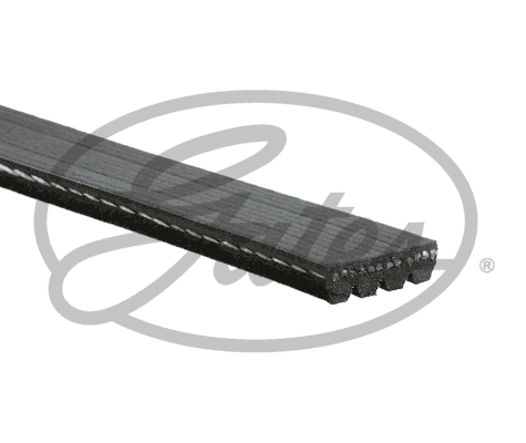 Renault Safrane 1992-1997 Arası 2.5 dT Gates Marka Vantilatör Kayışı - Görsel 2